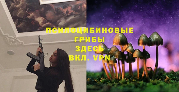 прущие крисы Баксан